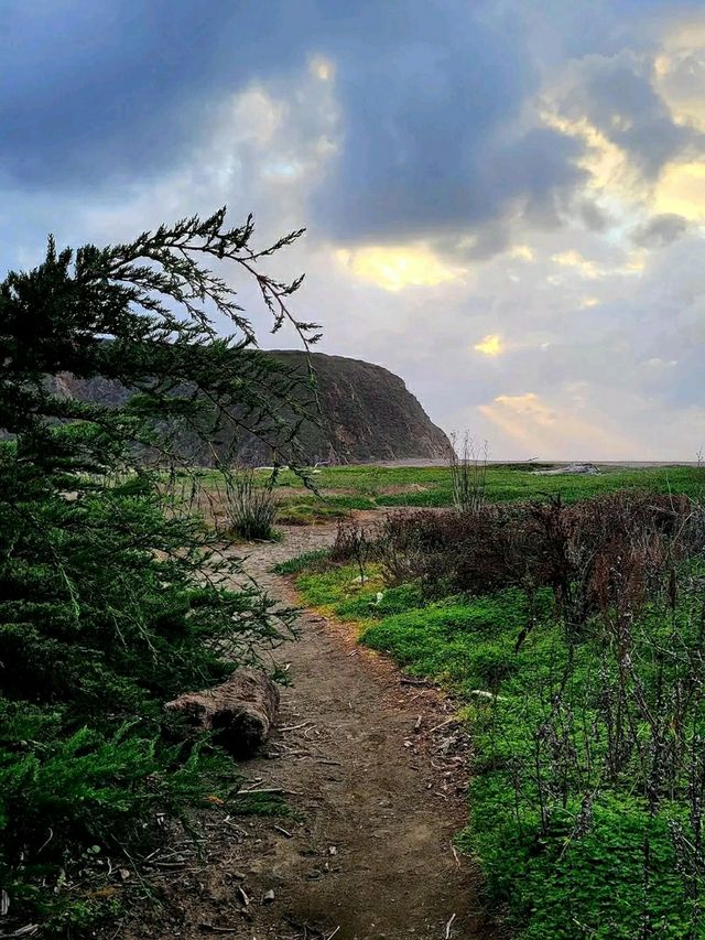Gold Rush Dreams: Trekking the California Trail