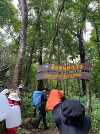 🌧️ เที่ยวหน้าฝน…พิชิตสันหนอกวัว ⛰️