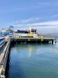A Laid-Back Day in Hakodate – Bayside Strolls & Starry Views