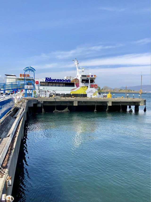 A Laid-Back Day in Hakodate – Bayside Strolls & Starry Views