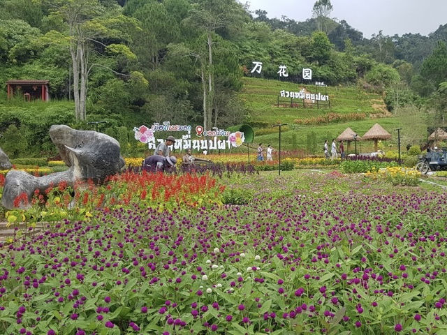 สีสันบนดอยใต้สุด สวนหมื่นบุปผา เบตง