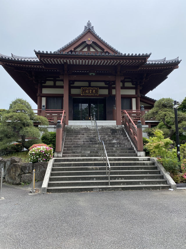 【東京都芝公園🇯🇵増上寺】徳川家の菩提寺/日本有数の寺院☺️