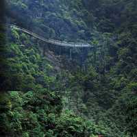 🏞️端午節適合去哪裡旅遊|來大覺睡大覺💤