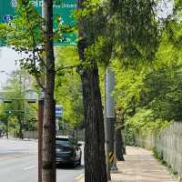 A Great Place to Walk: seongjeong Embankment Road (Songjeong Jegil)