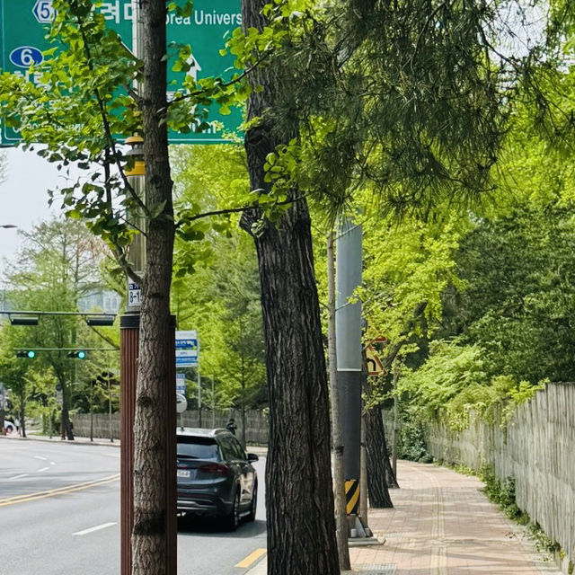 A Great Place to Walk: seongjeong Embankment Road (Songjeong Jegil)