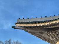 Blue Tiles & Big History: Exploring the Blue House in Seoul
