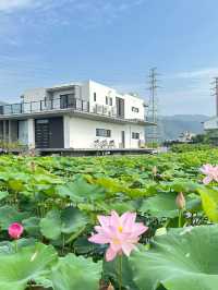 From Taipei’s skyline to Tainan’s shrine