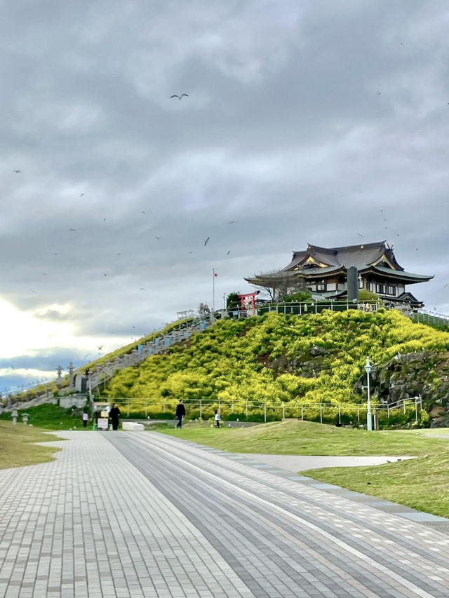 An Active Day Out in Hachinohe – Nature, Trails & Local Flavors