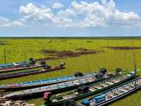 Nature's Symphony at Thale Noi Wetlands