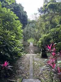 在神域水氣中走進節氣——端午日訪圓山水神社