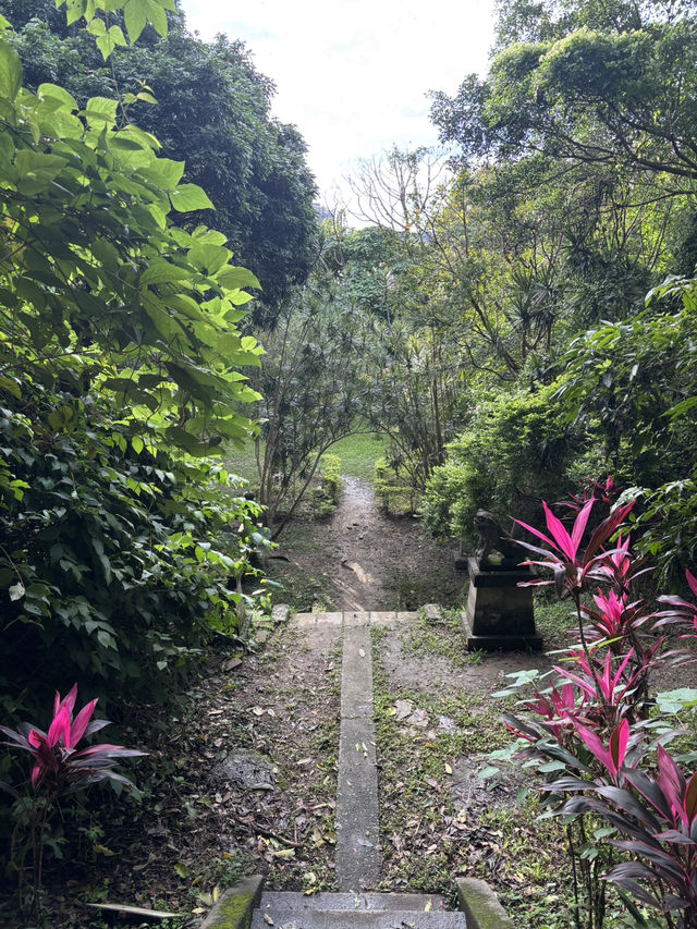 在神域水氣中走進節氣——端午日訪圓山水神社