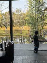 子連れで京都【二条城】に行くならここがベスト