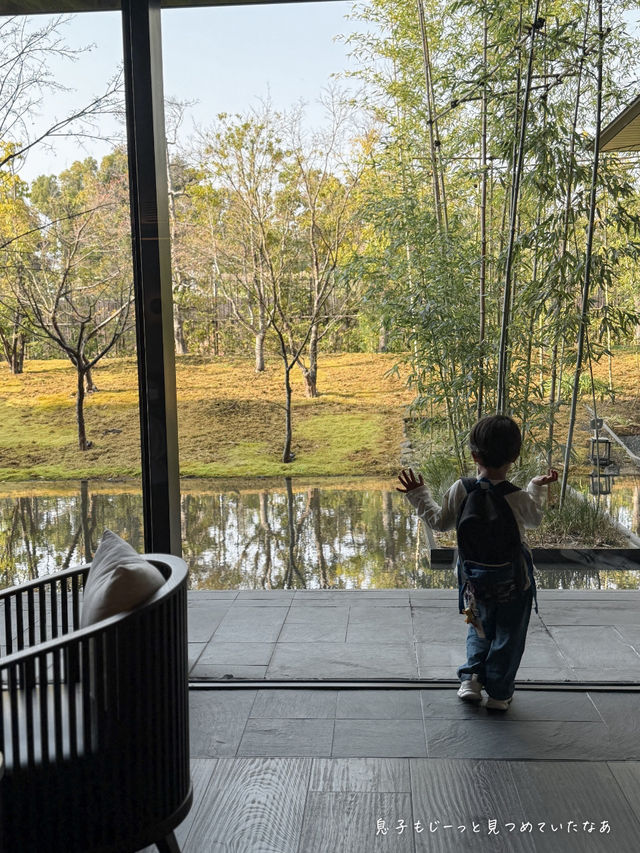子連れで京都【二条城】に行くならここがベスト