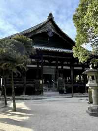 Sky-High Stroll in Miyajima