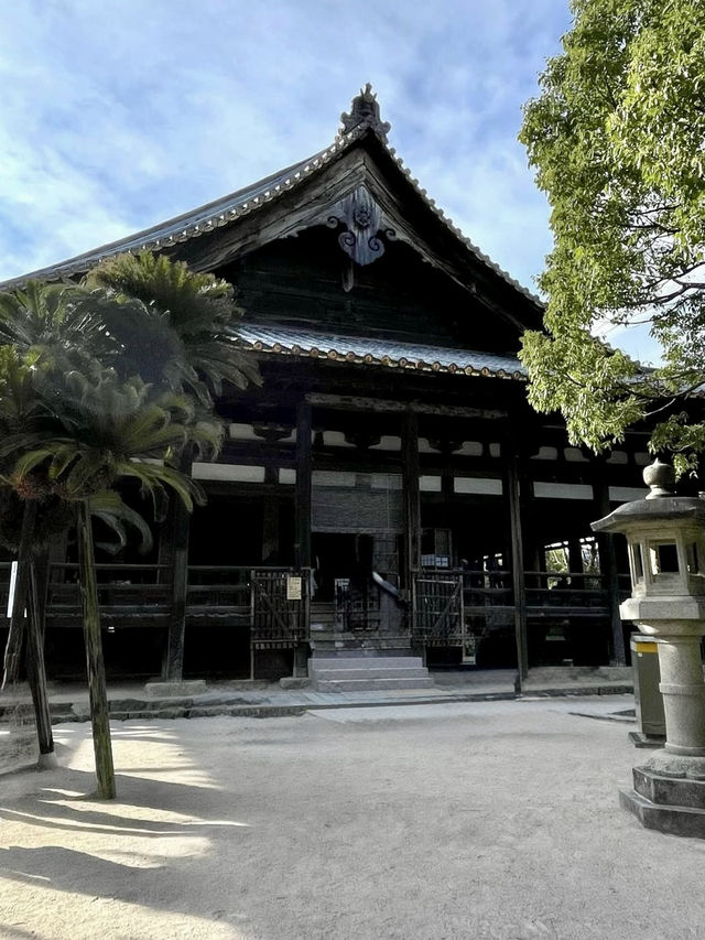 Sky-High Stroll in Miyajima