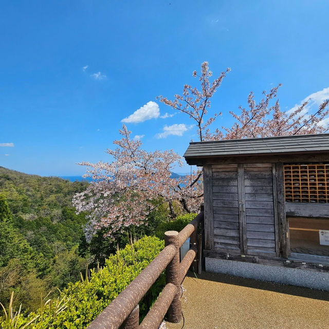 Kasamatsu Park: Cherry Blossoms and Heavenly Views