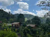 🌿 Escape Kuala Lumpur and Breathe in Nature’s Fresh Air! 🍃