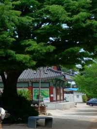 새벽 공기를 마시며 맞는 하루의 시작