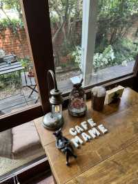 【大分グルメ】住宅街の中に木に囲まれた素敵なカフェ🌳