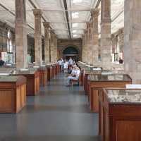 Natural History Museum, London