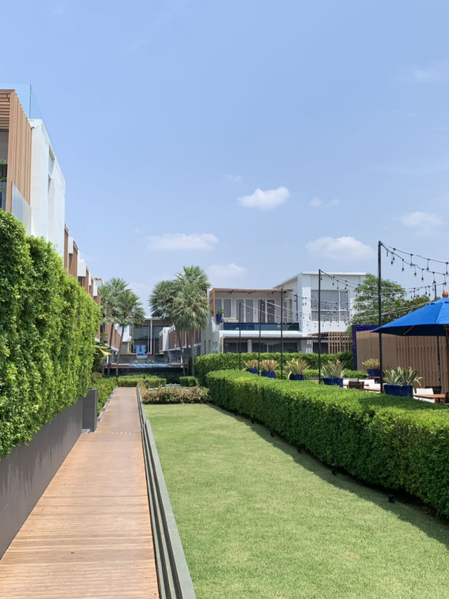 華欣 ace of hua hin resort