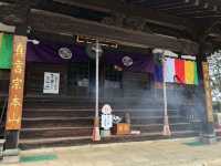 🌸【枝垂櫻與靜心古寺的邂逅】春日私藏景點：水戶大師六地藏寺一日小旅行