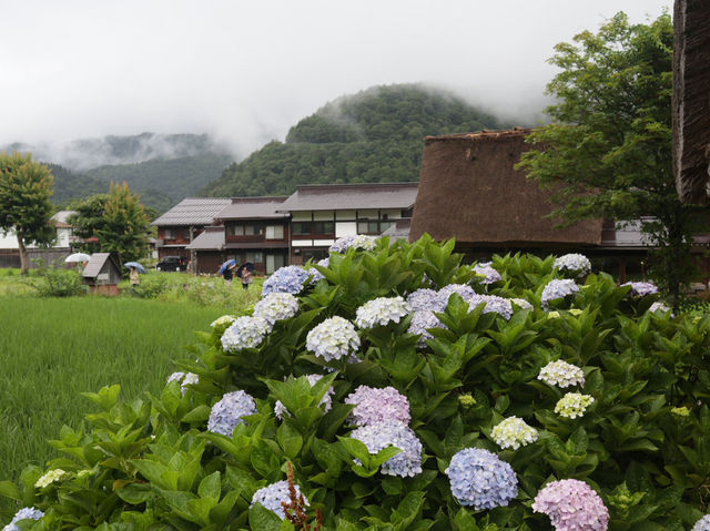 Shirakawa-go’s Gassho-zukuri Village