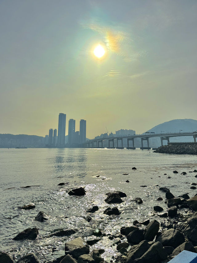 외국인에게 추천하는 부산여행일정 🐟🚢🚣