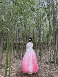 전주 경기전, 봄 감성 가득한 산책 코스🌸
