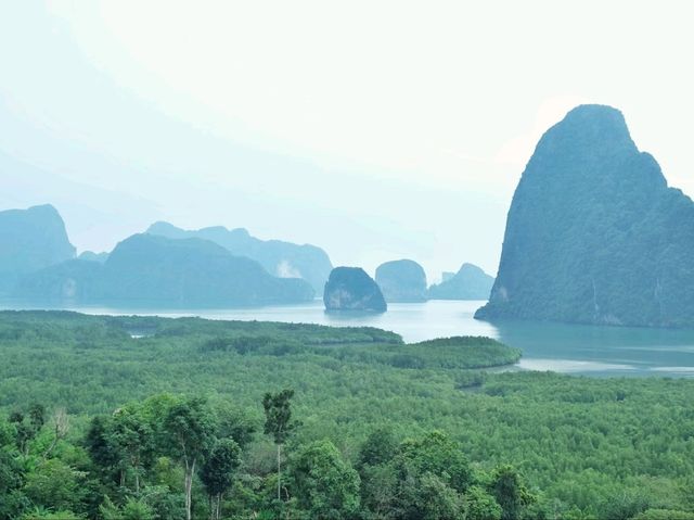เสม็ดนางชี