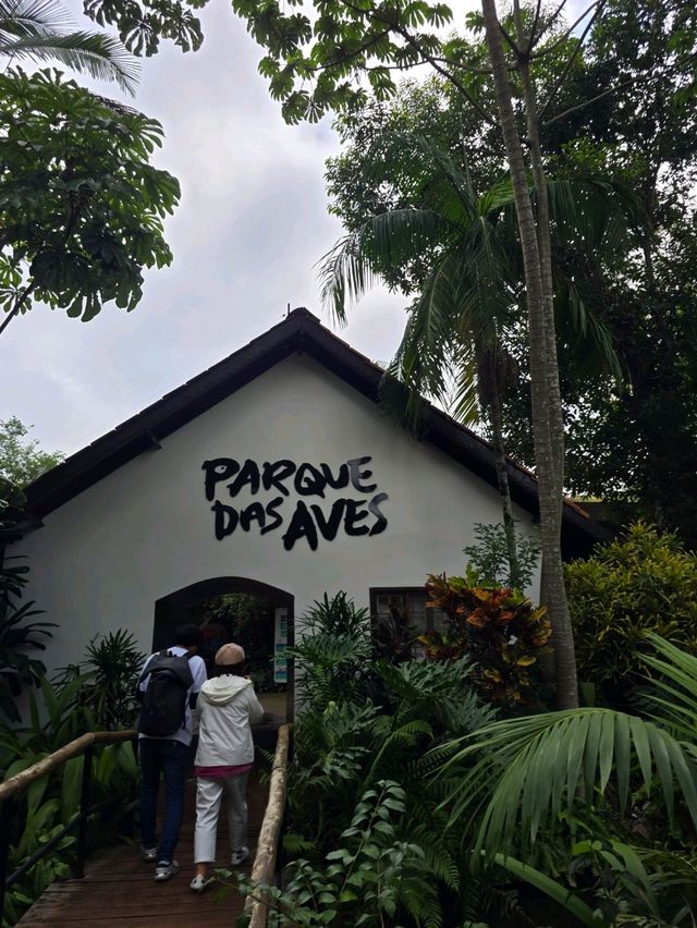 해외여행 브라질 이과수 조류동물원 Parque das Aves