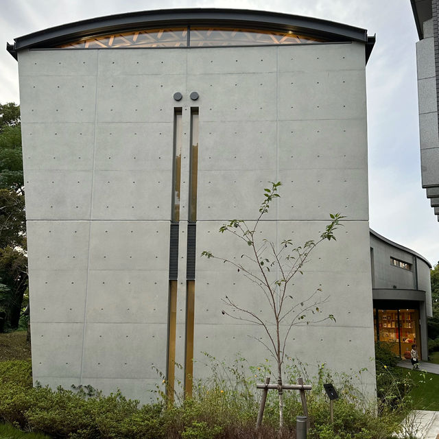 📚 Ando Tadao’s Kodomo Hon no Mori Kumamoto Library — A Peaceful Reading Haven for Kids