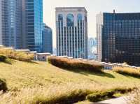 Namsan Baekbeom Square: A Historical and Scenic Urban Oasis