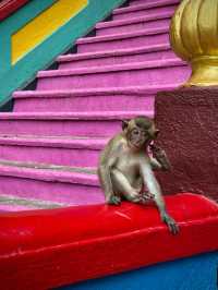 “Where Nature Meets Devotion – Batu Caves”