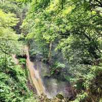 陽明山山豬湖山走走