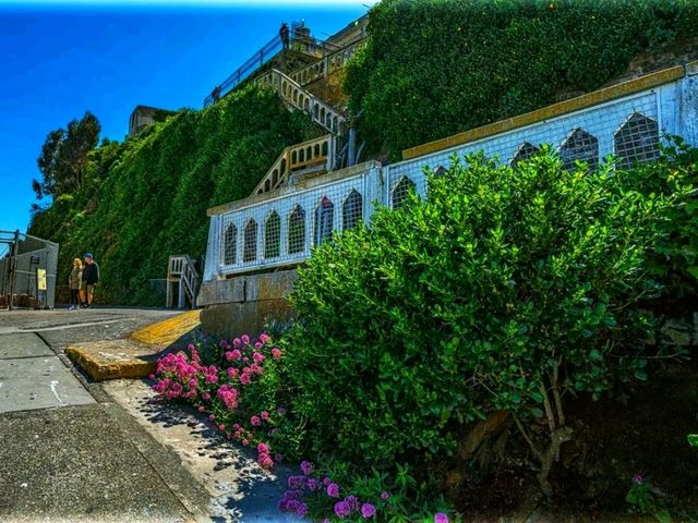 Alcatraz Island – History in the Middle of the Bay