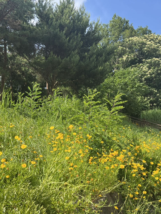 서울 둘레길 7코스