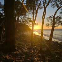 Noosa National Park – QLD