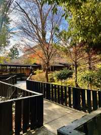 🍱【神奈川・箱根 雪月花】心と身体をほぐす、湯と美食の静かな時間