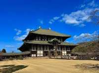 โอซาก้า🇯🇵