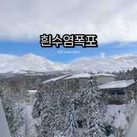 그림같은 흰수염폭포(비에이): 겨울과 여름의 절경
