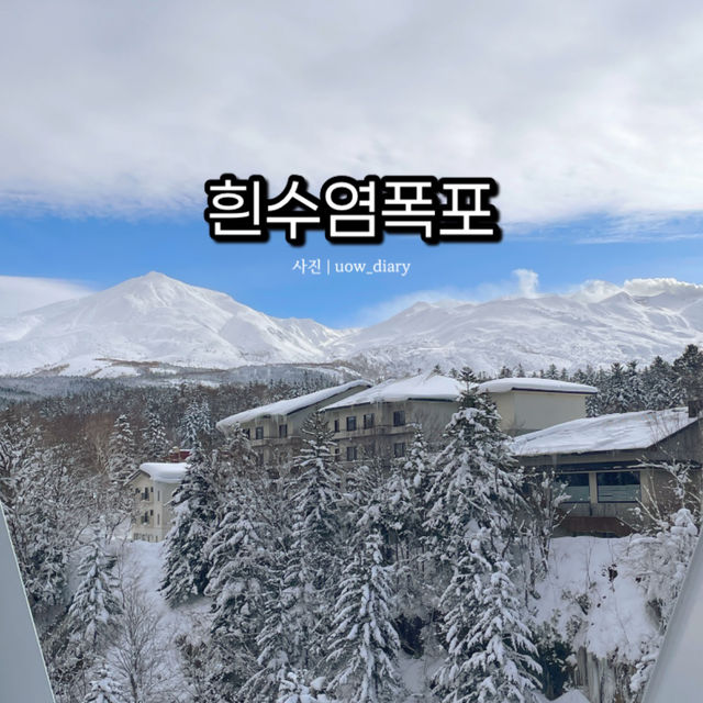 그림같은 흰수염폭포(비에이): 겨울과 여름의 절경