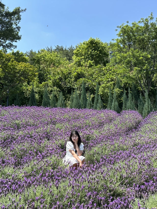 보라빛 향기처럼-