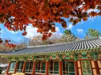 Temple Trails