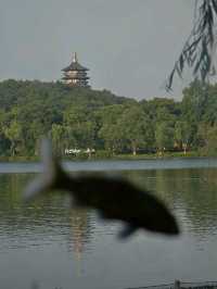 Gardens in Hangzhou, Waterways in Suzhou.