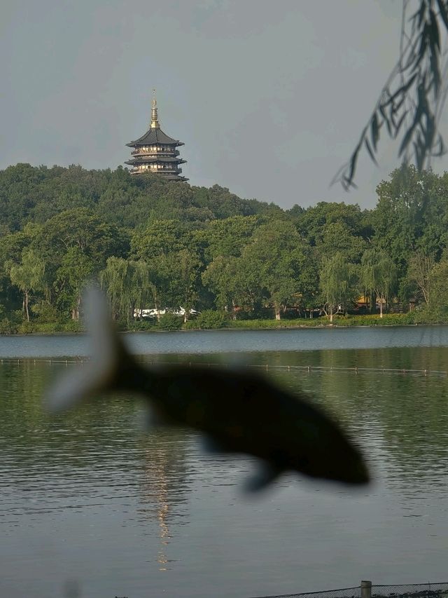 Gardens in Hangzhou, Waterways in Suzhou.