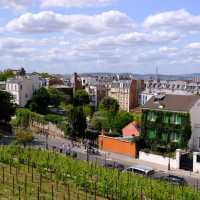 Paris | Montmartre Museum: A Sunny Dive into Artistic History! ☀️🎨