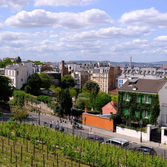 Paris | Montmartre Museum: A Sunny Dive into Artistic History! ☀️🎨