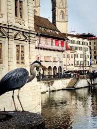 Summer Stay at Hotel Bristol, Zurich – Central Comfort with Swiss Charm