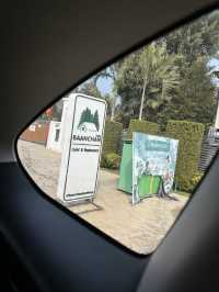 泰國大城包車一日遊 Sriayuthaya Lion Park  動物互動 